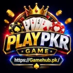 PLAYPKR Game Logo