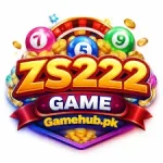 ZS222 Game Logo