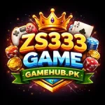 ZS333 Game Logo